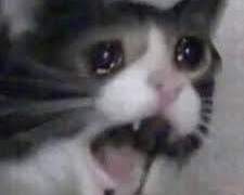 영화 상견니(2023)