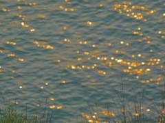 「파도여 흩날려라」 - 해석