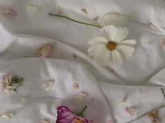 다복팔당多福八堂