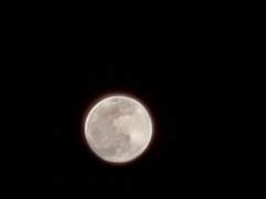 [류토모] 보름달