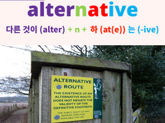 alternative
