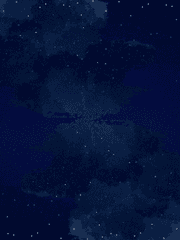 전지적 독자 시점