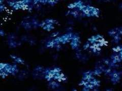 역겹긴 하지만 순애잖습니까, 순애.