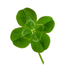 우리는우리만의세계가있다