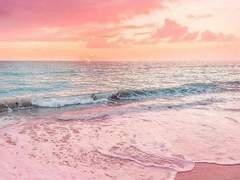 [찬졸커]선라이즈.S.로드 비설