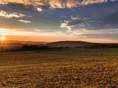 사자는 양을 사랑했던가