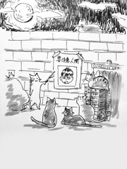 하이큐 드림 zip