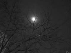 형제의 마지막 편지