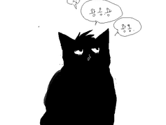 초보 집사 정대만의 태웅이 키우기