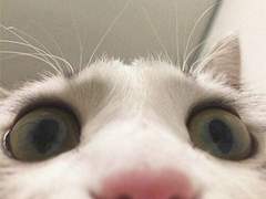 보고싶은 영상이 있나요?