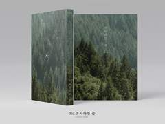 레디메이드 no.2 사라진 숲