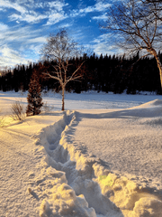 [우성명헌] 눈꽃