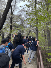 사찰(오코/조성전쟁)