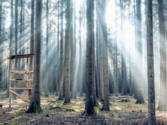 로판 세계에 빙의했더니 라이벌 학교의 선배가 북부 대공? 下