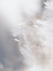 오마카세, 가챠 타입