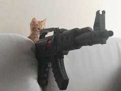 [데못죽] 테스타에게도 버블을 줘라! 이것저것 보장하라!