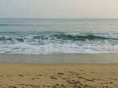 그래서 돌고래는 상어를 수면 위로 끌어올렸다.