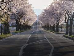 Track No 1. Take What You Got(1)