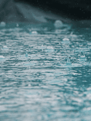 그 녀석은 거슬린다.