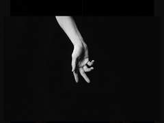 피를 먹는 꽃下