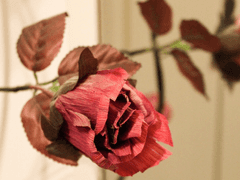 공주에게 명령하지 말 것!