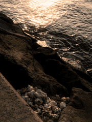 제주 겨울 바다