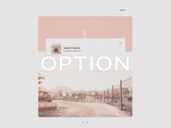 GRAVITY SKIN 9 - 카피라이트 삭제