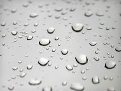 [대만준호] 물방울.