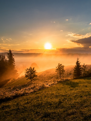 프세카 캐릭터 설정