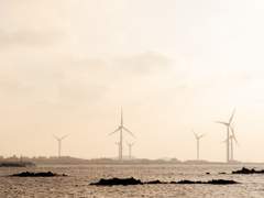 (#4/4장)윤슬 맛집🧡 제주 겨울 바다 시리즈 4종 총7장(휴대폰3장, 아이패드 3장, 컴퓨터1장) / 배경화면 맛집, 윤슬배경화면_#2 제주 겨울 바다