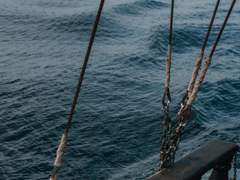 Sugar and Tea and Rum