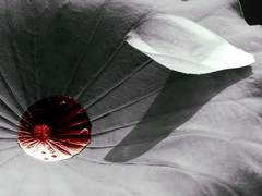 四 . 柔軟不澁(유연불삽)(完)