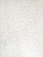 인간.성질.상실