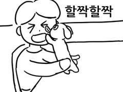 어쩌다 강아지! (소미편)
