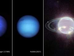 “우리가 보는 것은 ‘사실’일까?”