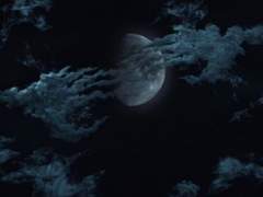 이 손으로 당신의 슬픔을 어루만지고