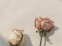 다복팔당多福八堂