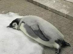 뜨거운 여름이네