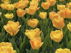 페이스 오프 마지막 외전