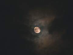 [승준명석준호] Nighty Night 1