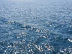 [이제노] 하도리 동동 20