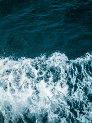 [원피스] 우리가 사랑을 할 수 있을까?