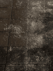 당신이 잊은 2월의 일기