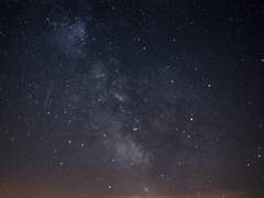 고앵이 스무디 가게