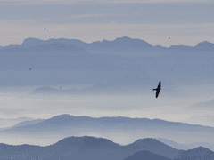 한 아이의 이야기