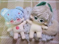 솜 병원 커미션 🐬