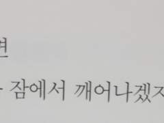 슬픈 나비의 순간