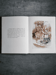 이상한 나라의 리베라