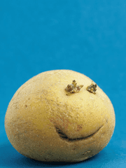 잉여생활기록문