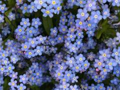 이브의 위선 미아 사망로그